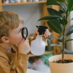 Pédagogies alternatives : zoom sur 5 approches éducatives salvatrices