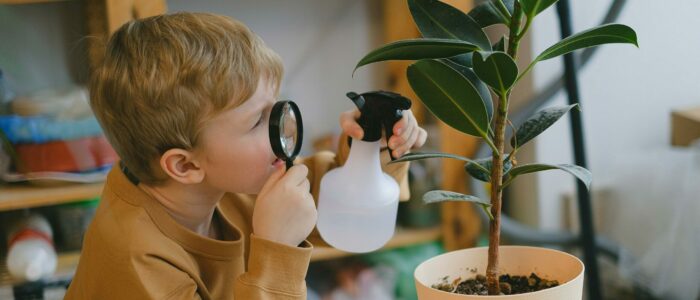 pédagogies alternatives