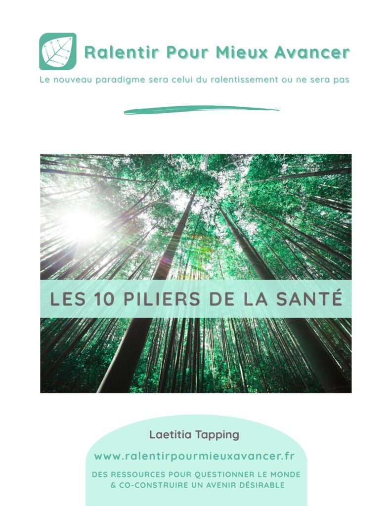 Les 10 piliers de la santé ebook