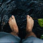 Reconnexion à la nature
