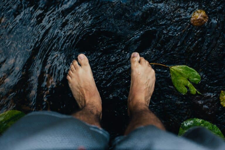 Reconnexion à la nature