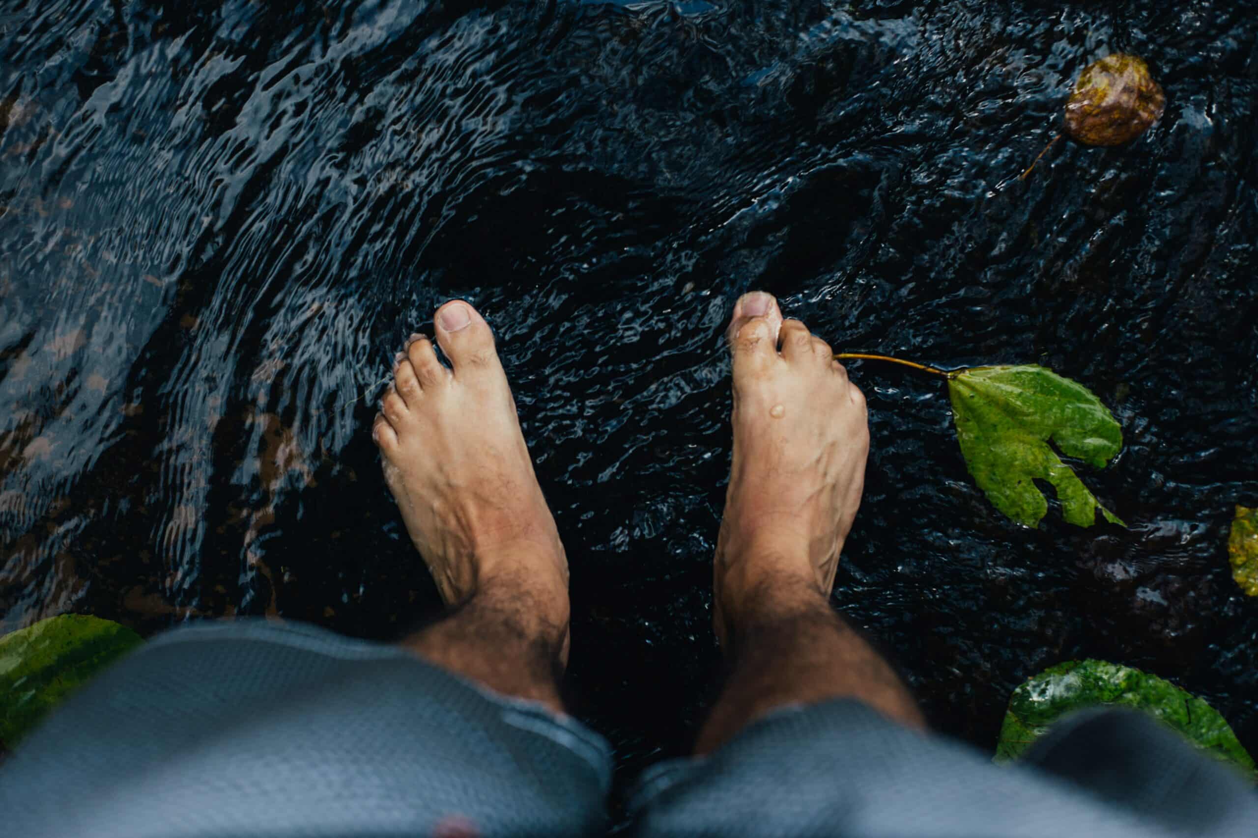Reconnexion à la nature